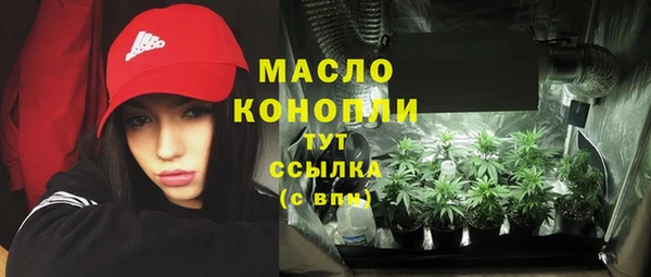 индика Нефтегорск