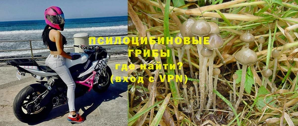 мдма Нефтекумск