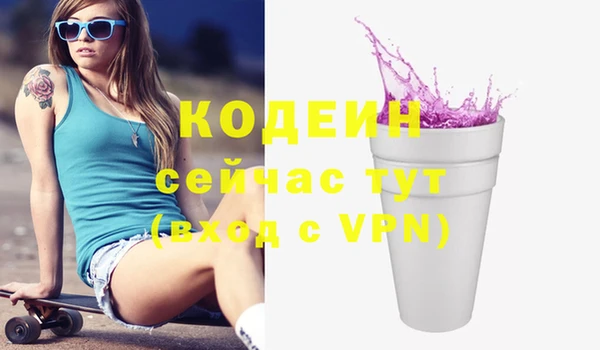 индика Нефтегорск