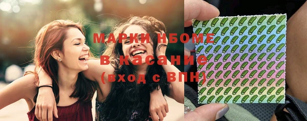 индика Нефтегорск