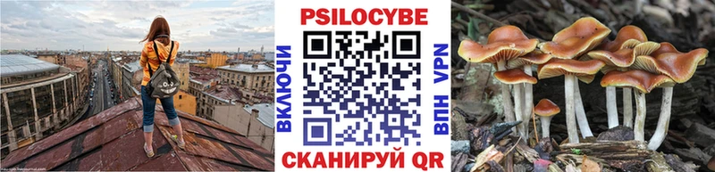 mega рабочий сайт Барыш Галлюциногенные грибы прущие грибы